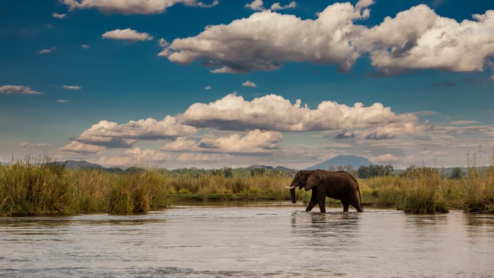 Parc national de Lower Zambezi